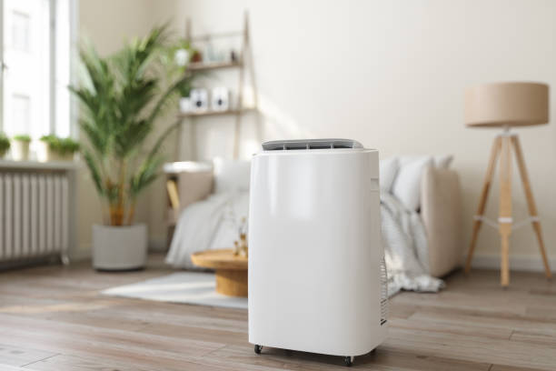 Best Best HVAC Companies  in Springville, IA